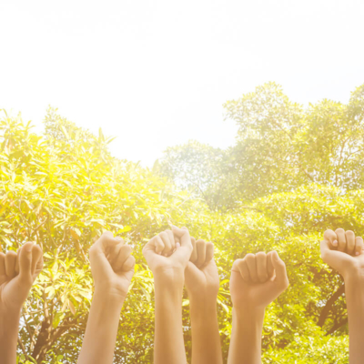 Many fists raised in unison